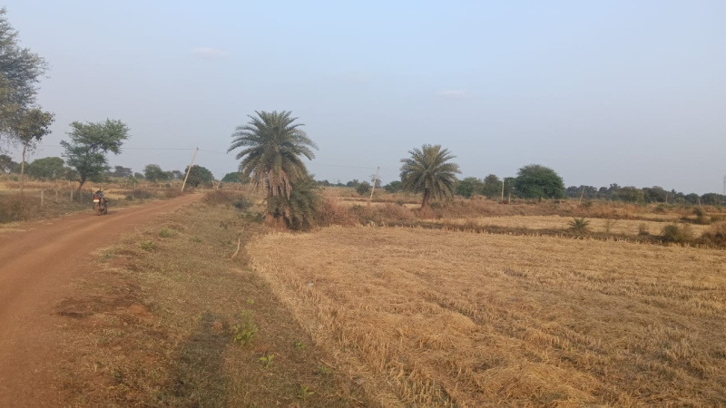  Agricultural Land 3 Acre for Sale in Arang, Raipur