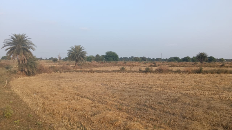  Agricultural Land 3 Acre for Sale in Arang, Raipur