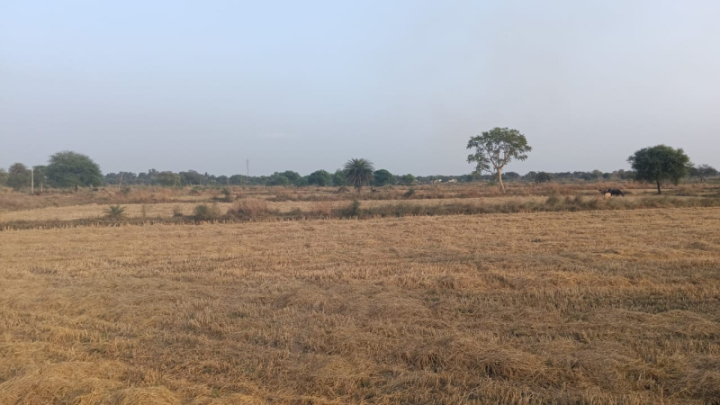  Agricultural Land 3 Acre for Sale in Arang, Raipur