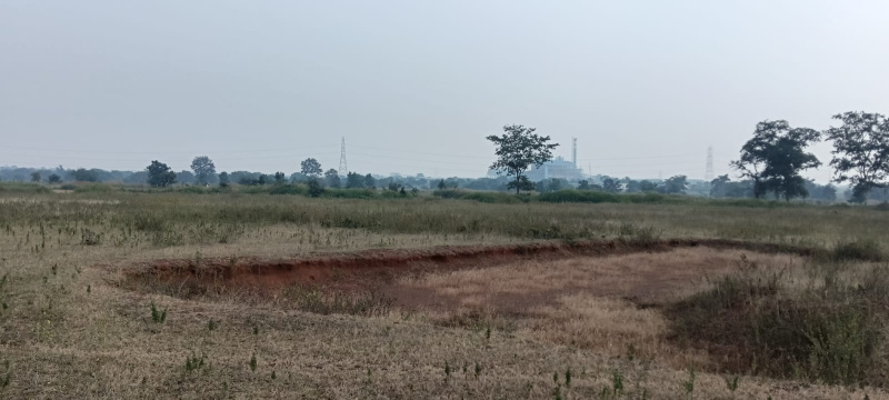  Agricultural Land 22 Acre for Sale in Tilda, Raipur