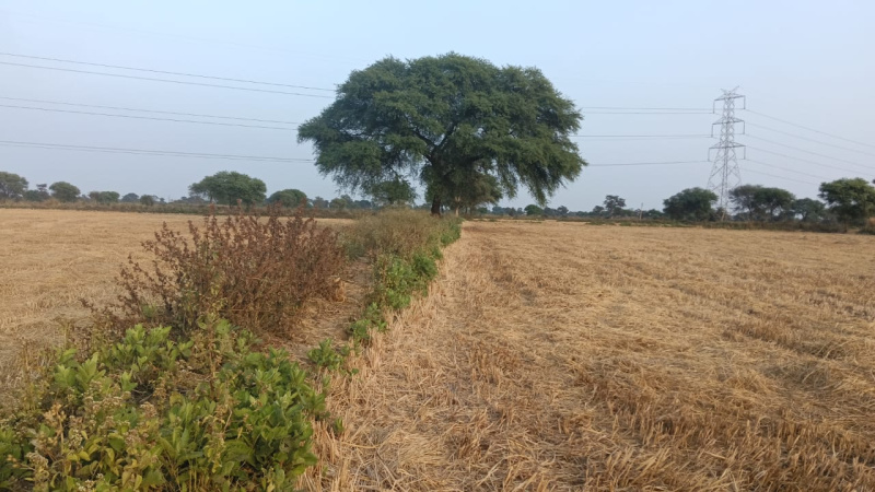  Agricultural Land 3 Acre for Sale in Arang, Raipur