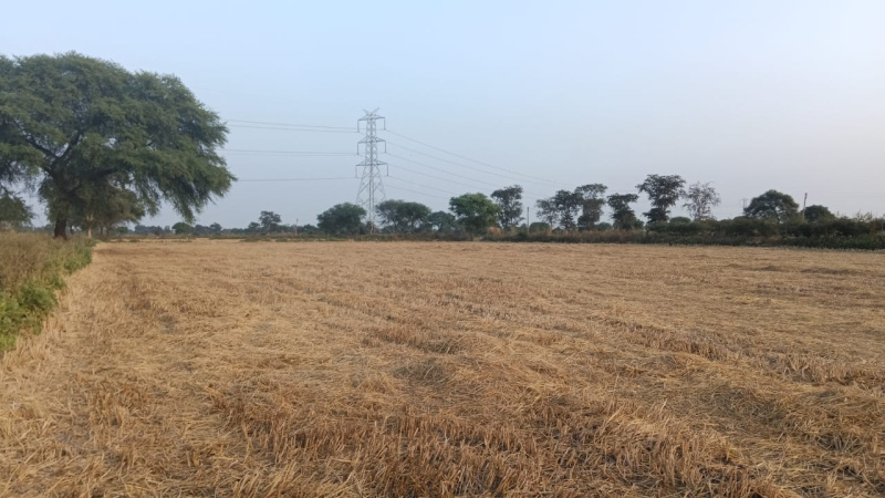  Agricultural Land 3 Acre for Sale in Arang, Raipur