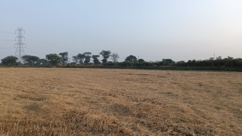  Agricultural Land 3 Acre for Sale in Arang, Raipur