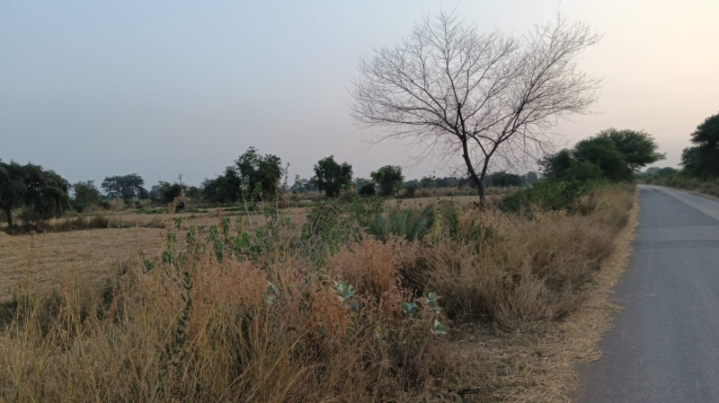  Agricultural Land 4 Acre for Sale in Arang, Raipur