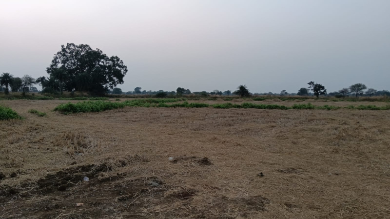  Agricultural Land 4 Acre for Sale in Chhura, Gariaband, Raipur