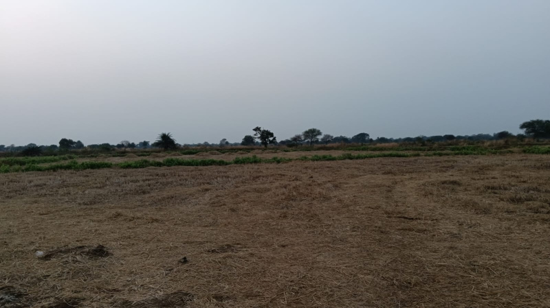  Agricultural Land 4 Acre for Sale in Chhura, Gariaband, Raipur