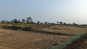  Agricultural Land for Sale in Baloda Bazar, Raipur