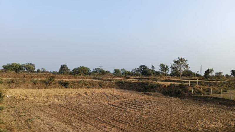  Agricultural Land 30 Acre for Sale in Baloda Bazar, Raipur