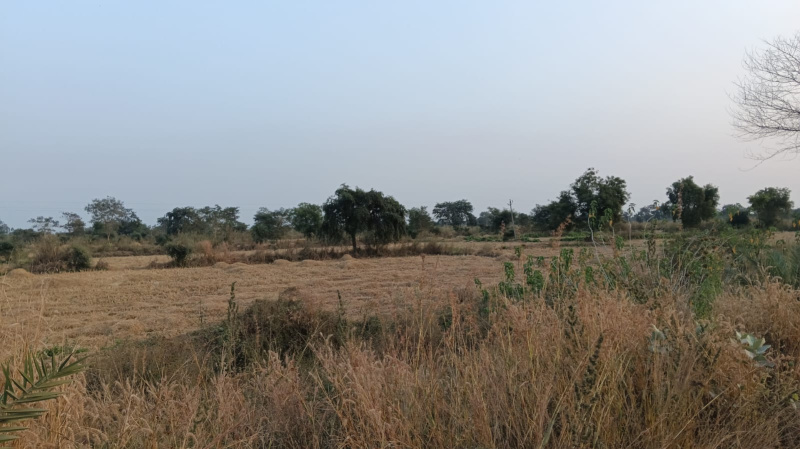  Agricultural Land 106 Acre for Sale in Nawagarh, Bemetara