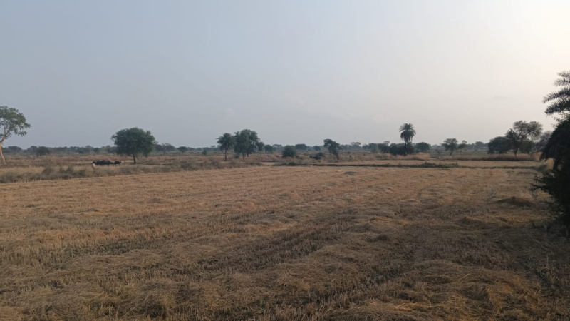  Agricultural Land 3 Acre for Sale in Arang, Raipur