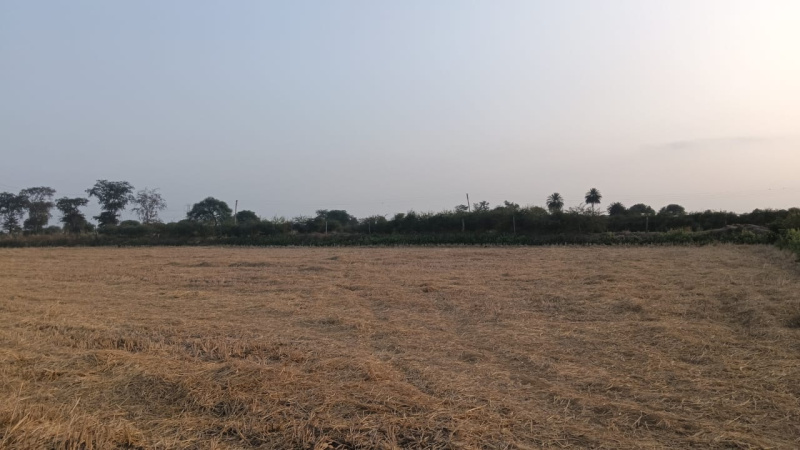  Agricultural Land 3 Acre for Sale in Arang, Raipur