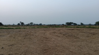  Agricultural Land for Sale in Arang, Raipur