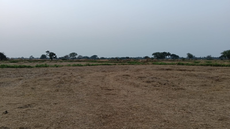  Agricultural Land 4 Acre for Sale in Arang, Raipur