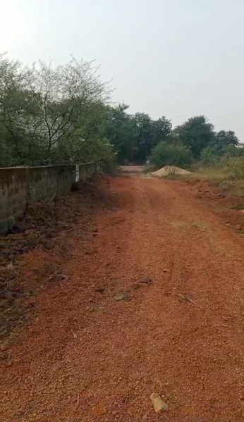  Residential Plot 27000 Sq.ft. for Sale in Kachna, Raipur