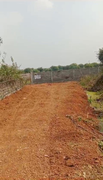  Residential Plot 27000 Sq.ft. for Sale in Kachna, Raipur