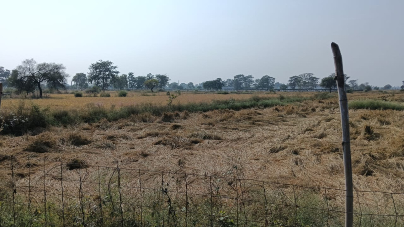  Residential Plot 10 Acre for Sale in Abhanpur, Raipur