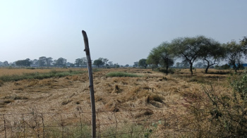  Residential Plot for Sale in Jamai, Chhindwara