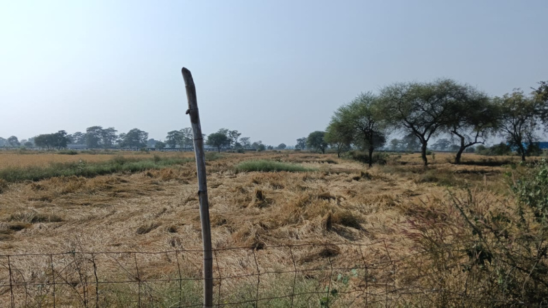  Residential Plot 78 Acre for Sale in Jamai, Chhindwara