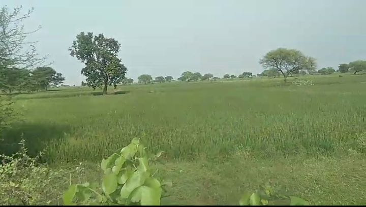  Residential Plot 6 Acre for Sale in Nandghat, Bemetara