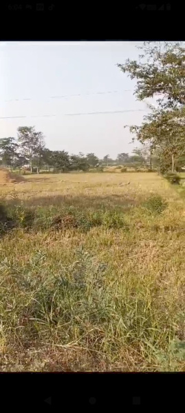  Residential Plot 9 Acre for Sale in Dhamtari, Balod