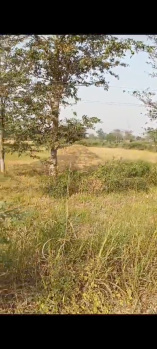  Residential Plot for Sale in Gariaband, Raipur