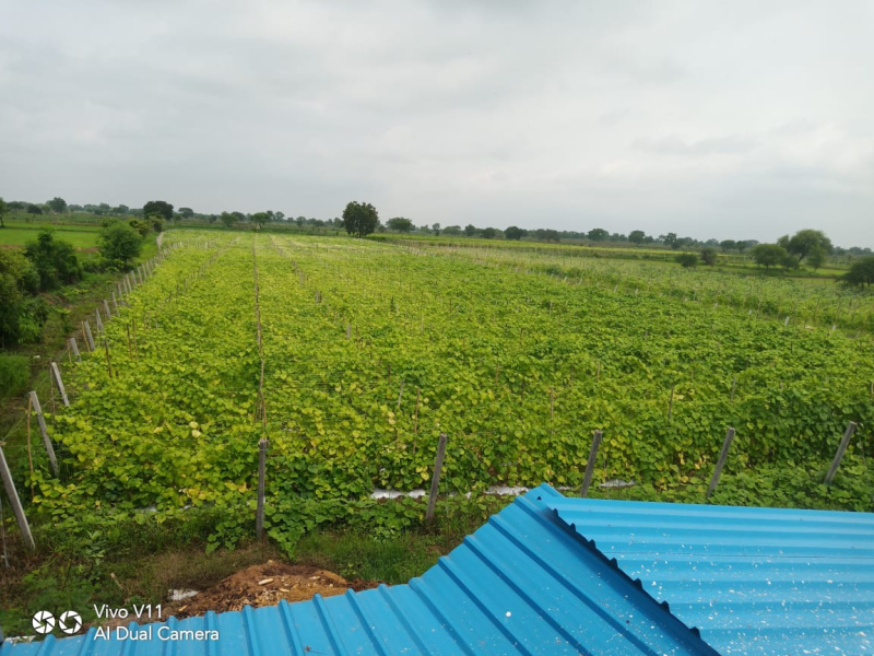  Residential Plot 6 Acre for Sale in Bemetara, Durg