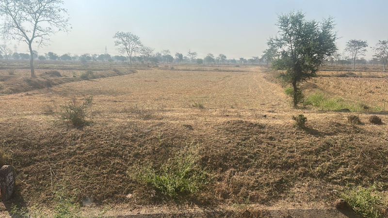  Residential Plot 4 Acre for Sale in Patan, Durg