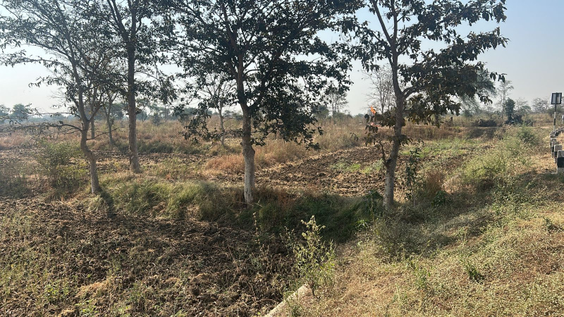  Residential Plot 6 Acre for Sale in Patan, Durg