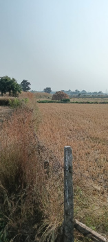  Commercial Land for Sale in Kamal Vihar, Raipur