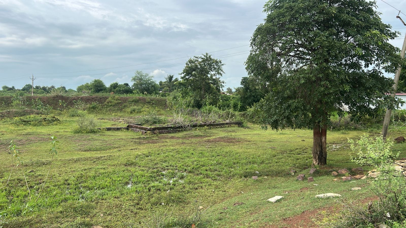  Residential Plot 1000 Sq.ft. for Sale in Avanti Vihar, Raipur