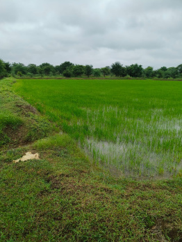  Commercial Land for Sale in Arang, Raipur