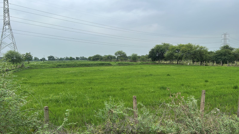  Agricultural Land 50 Acre for Sale in Patan, Durg