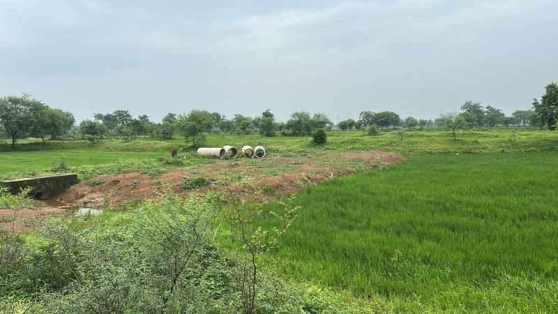  Agricultural Land 50 Acre for Sale in Patan, Durg