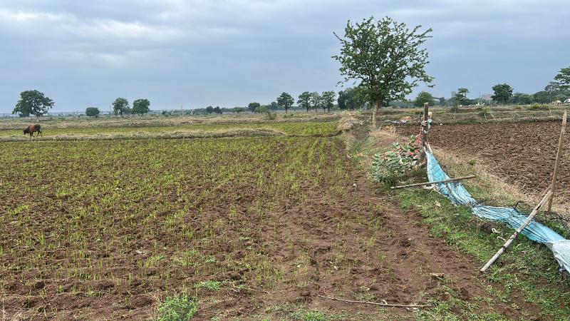  Agricultural Land 48 Acre for Sale in Berla, Bemetara