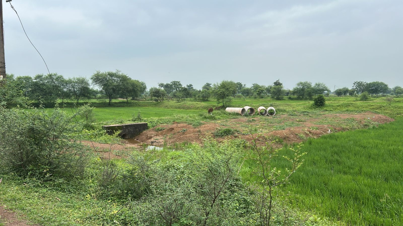  Agricultural Land 15 Acre for Sale in Vishrampur, Surajpur