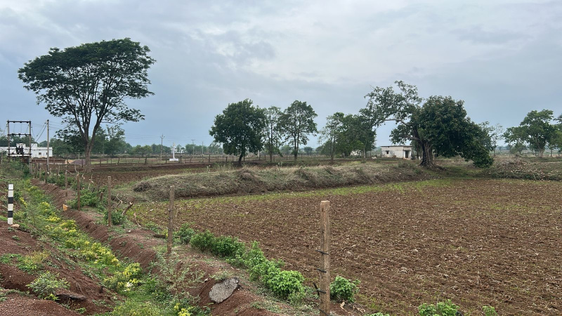  Agricultural Land 10 Acre for Sale in Pathariya, Bilaspur