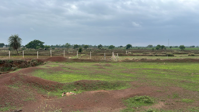  Agricultural Land 10 Acre for Sale in Pathariya, Bilaspur