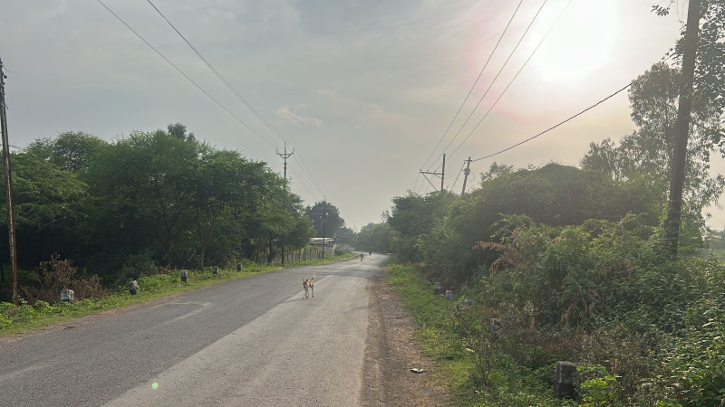  Agricultural Land 13 Acre for Sale in Berla, Bemetara