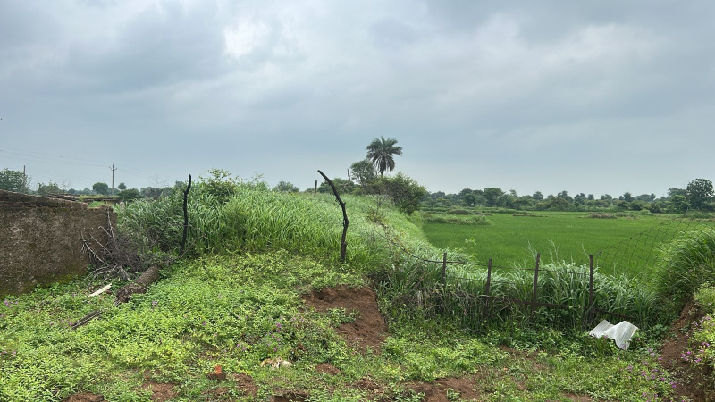  Industrial Land 213 Acre for Sale in Chakarbhatha, Bilaspur