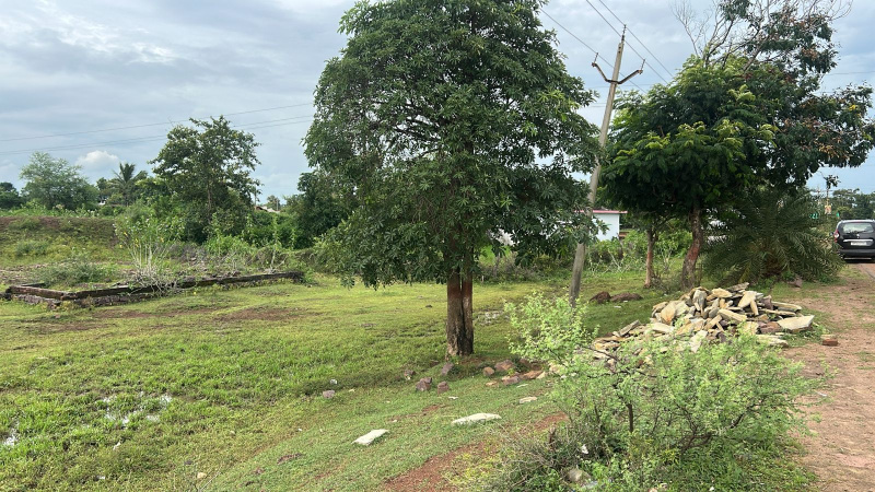  Agricultural Land 50 Acre for Sale in Kharora, Raipur