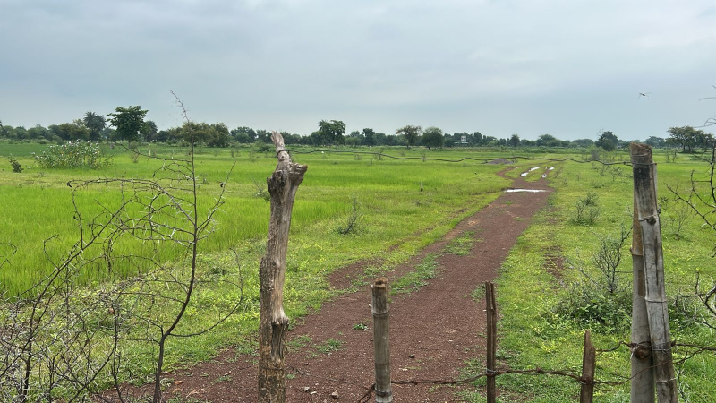  Agricultural Land 160 Acre for Sale in Tilda, Raipur