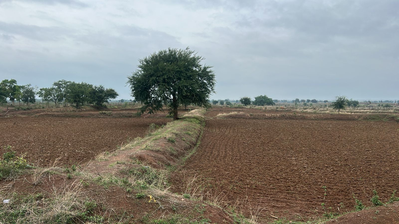  Industrial Land 250 Acre for Sale in Pamgarh, Janjgir-Champa