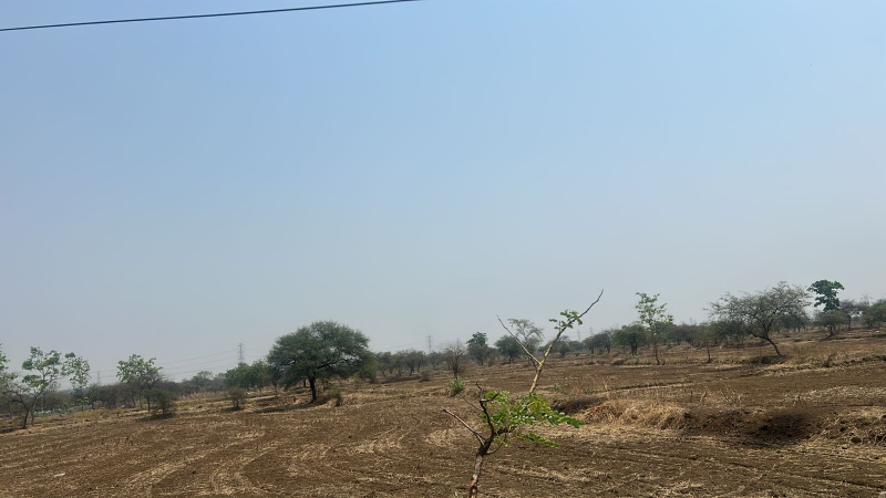  Agricultural Land 150 Acre for Sale in Bhanpuri, Raipur