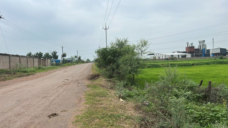  Residential Plot 7 Acre for Sale in Arang, Raipur