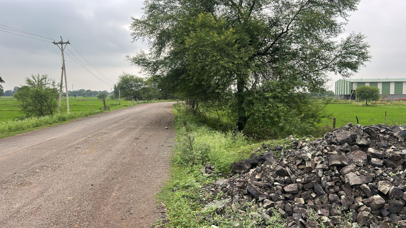  Agricultural Land 10 Acre for Sale in Arang, Raipur
