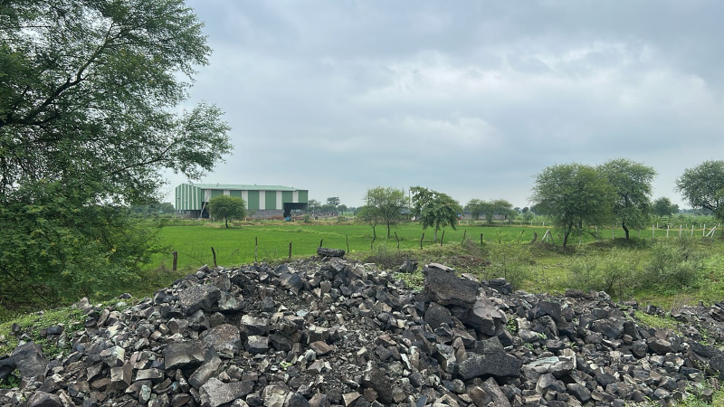  Agricultural Land 10 Acre for Sale in Arang, Raipur