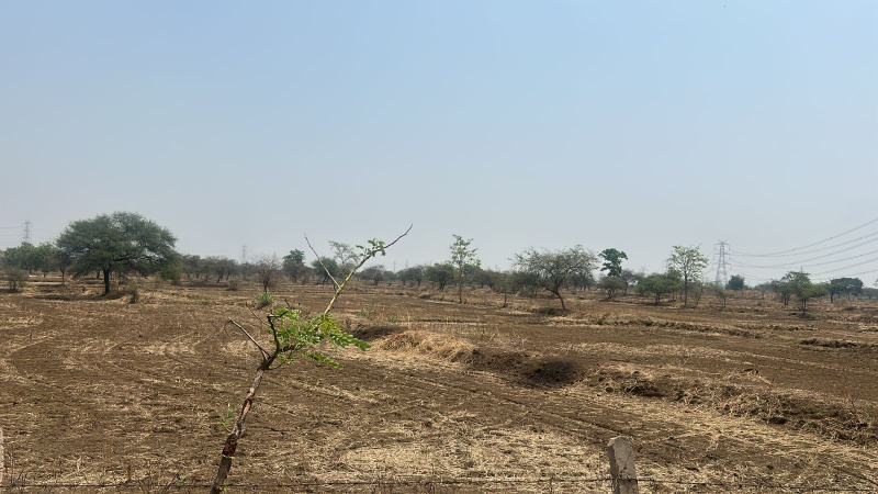  Commercial Land 2 Acre for Sale in Arang, Raipur