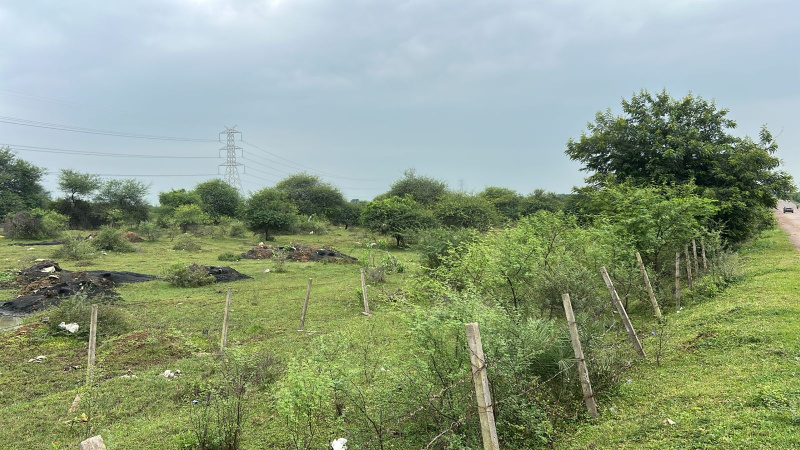  7 Acre Agricultural/Farm Land for Sale in Arang, Raipur