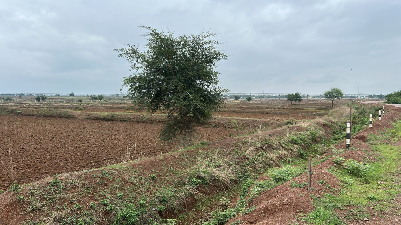 Commercial Land 8100 Sq.ft. for Sale in Civil Lines, Raipur