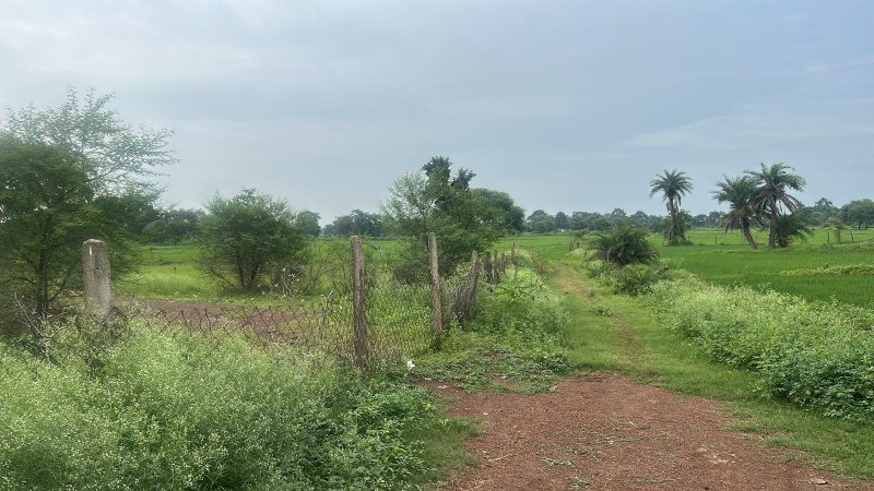  Commercial Land 7 Acre for Sale in Arang, Raipur